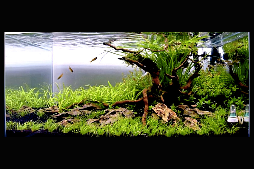 c6d881404a363d25d237a4ab630ea8