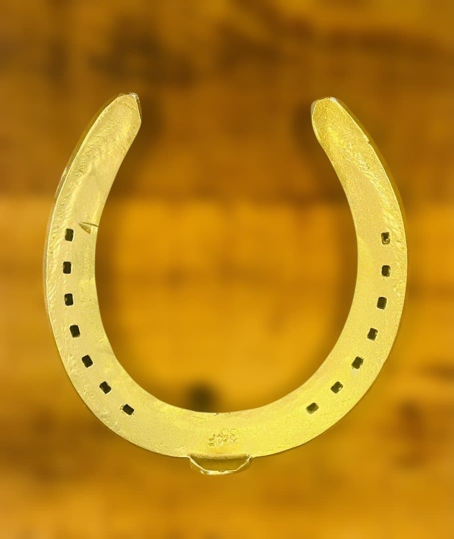 幸運の金の蹄鉄】 - メルカリ