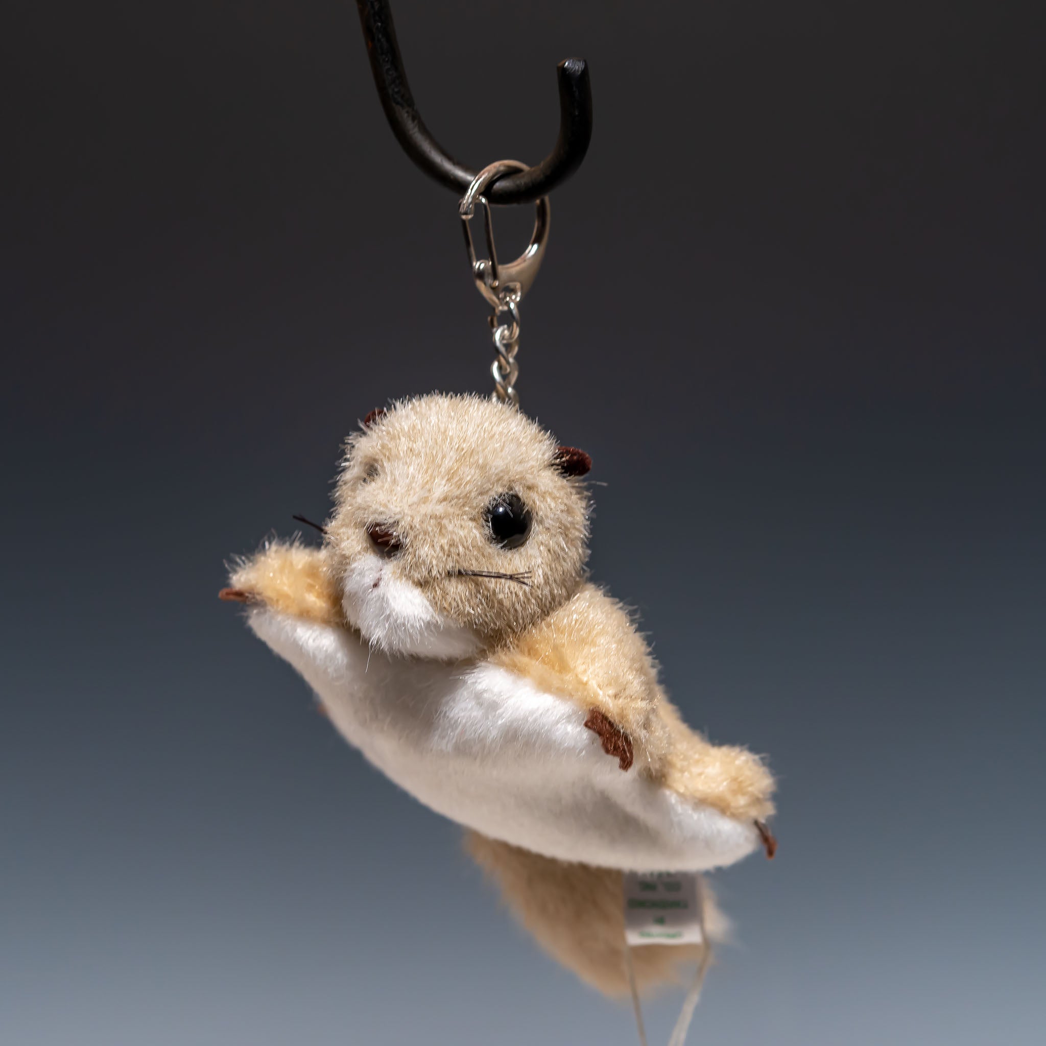 34618047-1_2048x2048_da858de6-